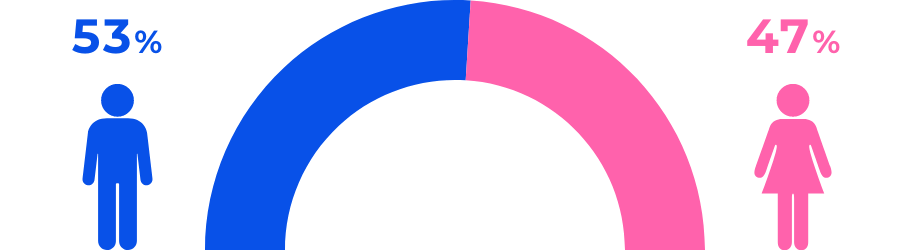 男女比（常勤）